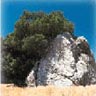 Spirit Rock Meditation Center